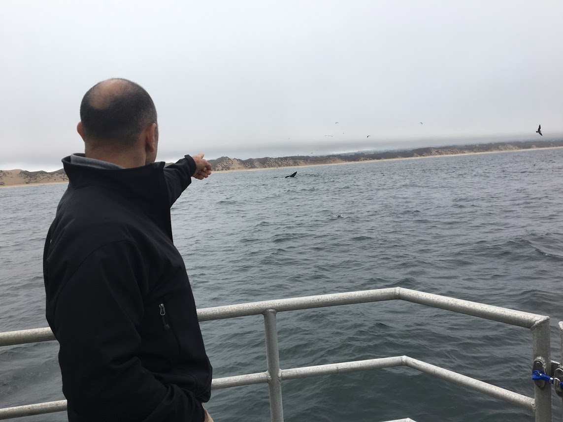 PanettaVetSanctuary3 