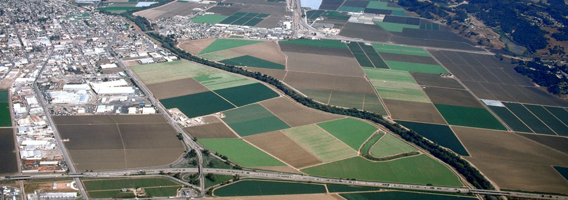 Pajaro River Project