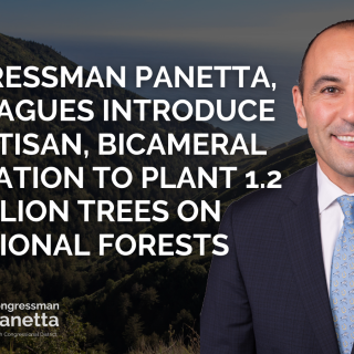 REPLANT