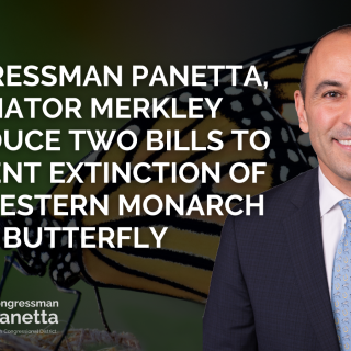 Congressman Panetta, Senator Merkley Introduce Two Bills to Prevent Extinction of the Western Monarch Butterfly
