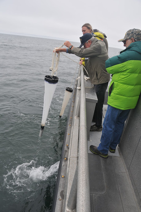 Vet doing plankton research on Fulmar 